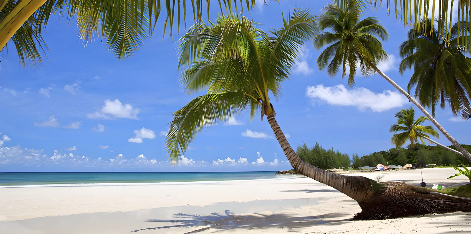 Paradiesischer Strand unter Palmen