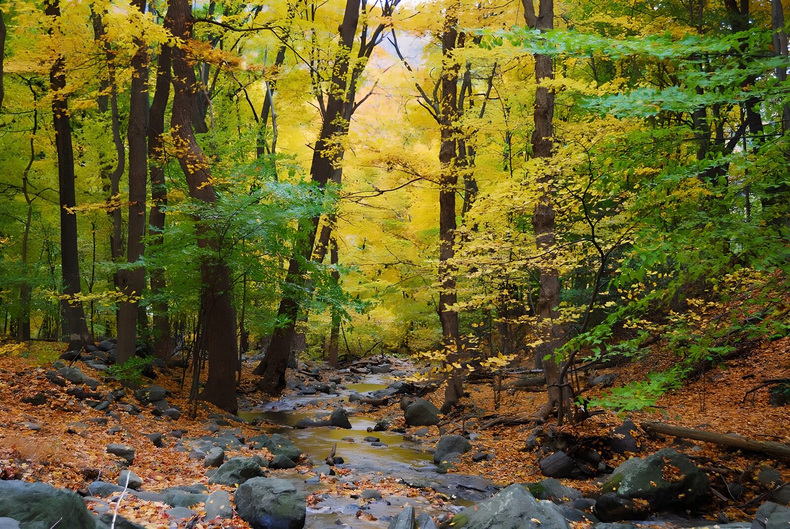 Bunte Herbstlandschaft am Fluss