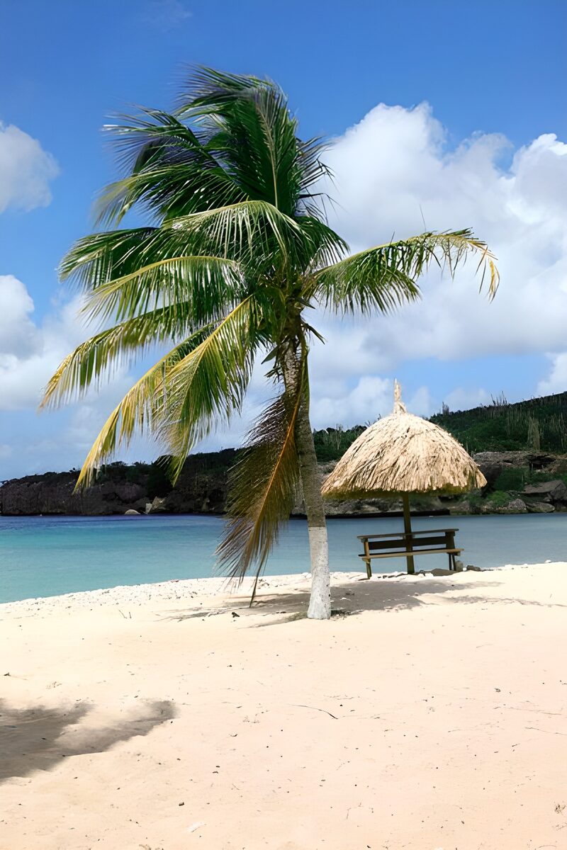 Tropischer Strand mit Palmen und Schutzhütte