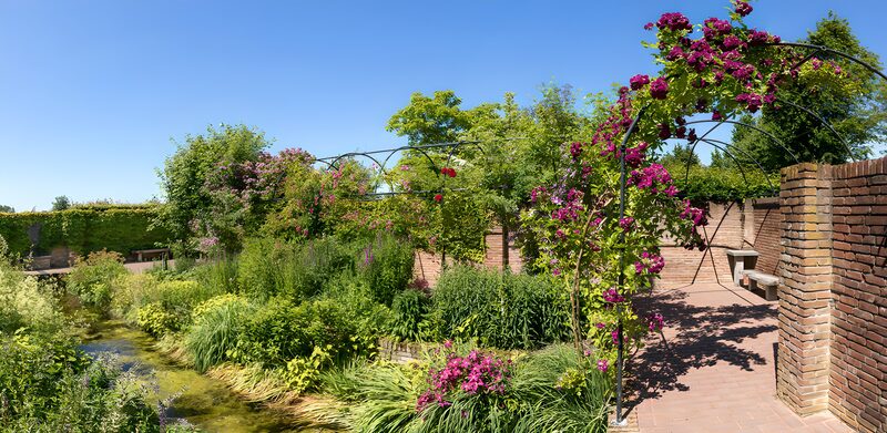 Blühender Garten im Sonnenschein