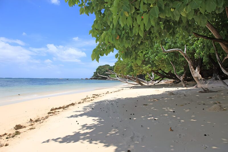 Ruhiger Strand unter grünem Laub