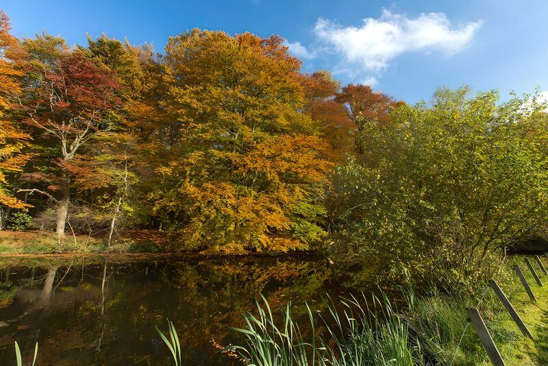 Farbenfrohe Herbstlandschaft am Wasser