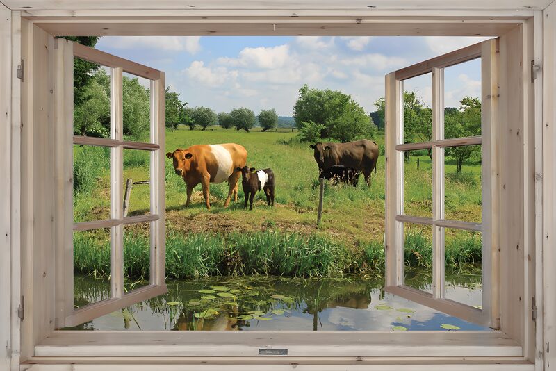 Ausblick auf die friedliche Landwirtschaft