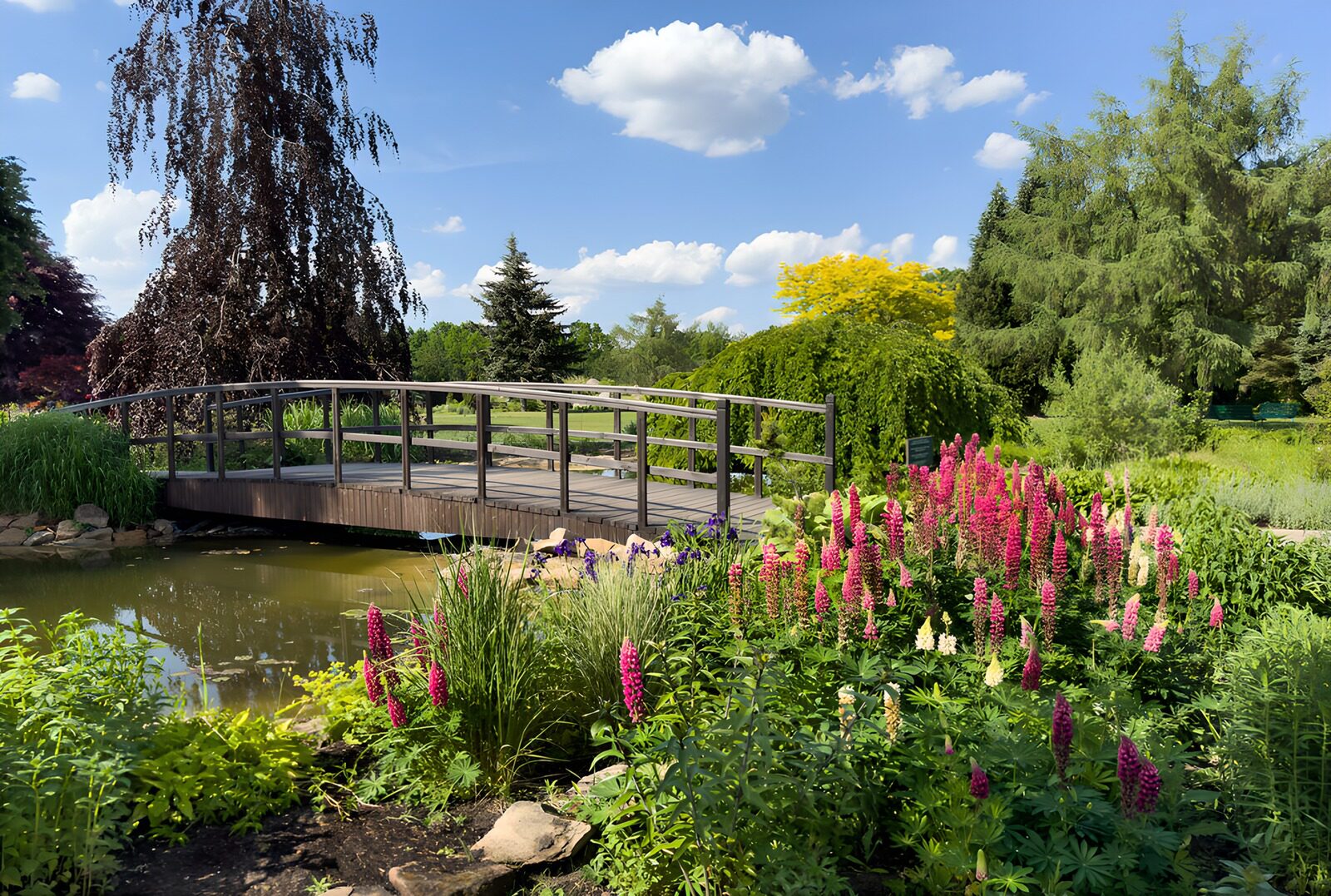 Friedlicher Garten mit Brücke