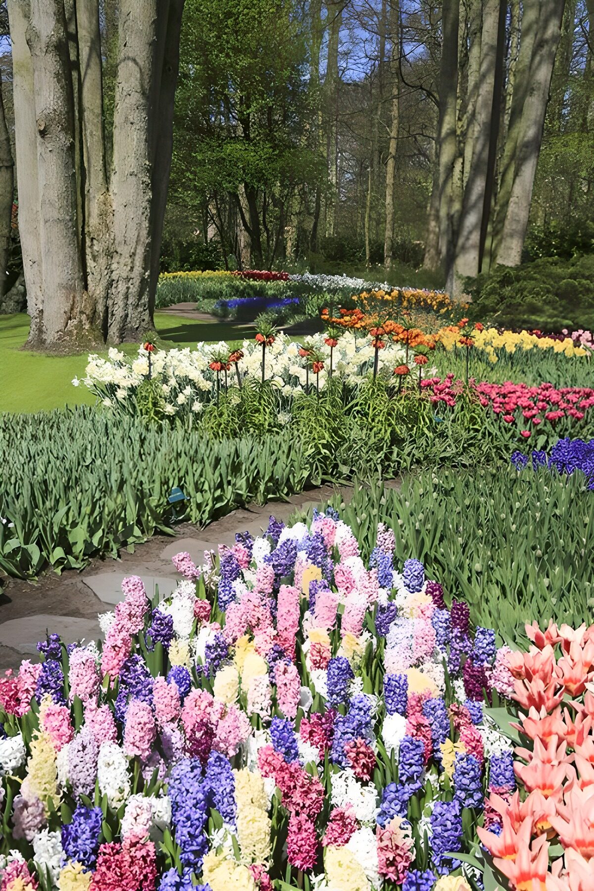 Blumenpracht im Frühling