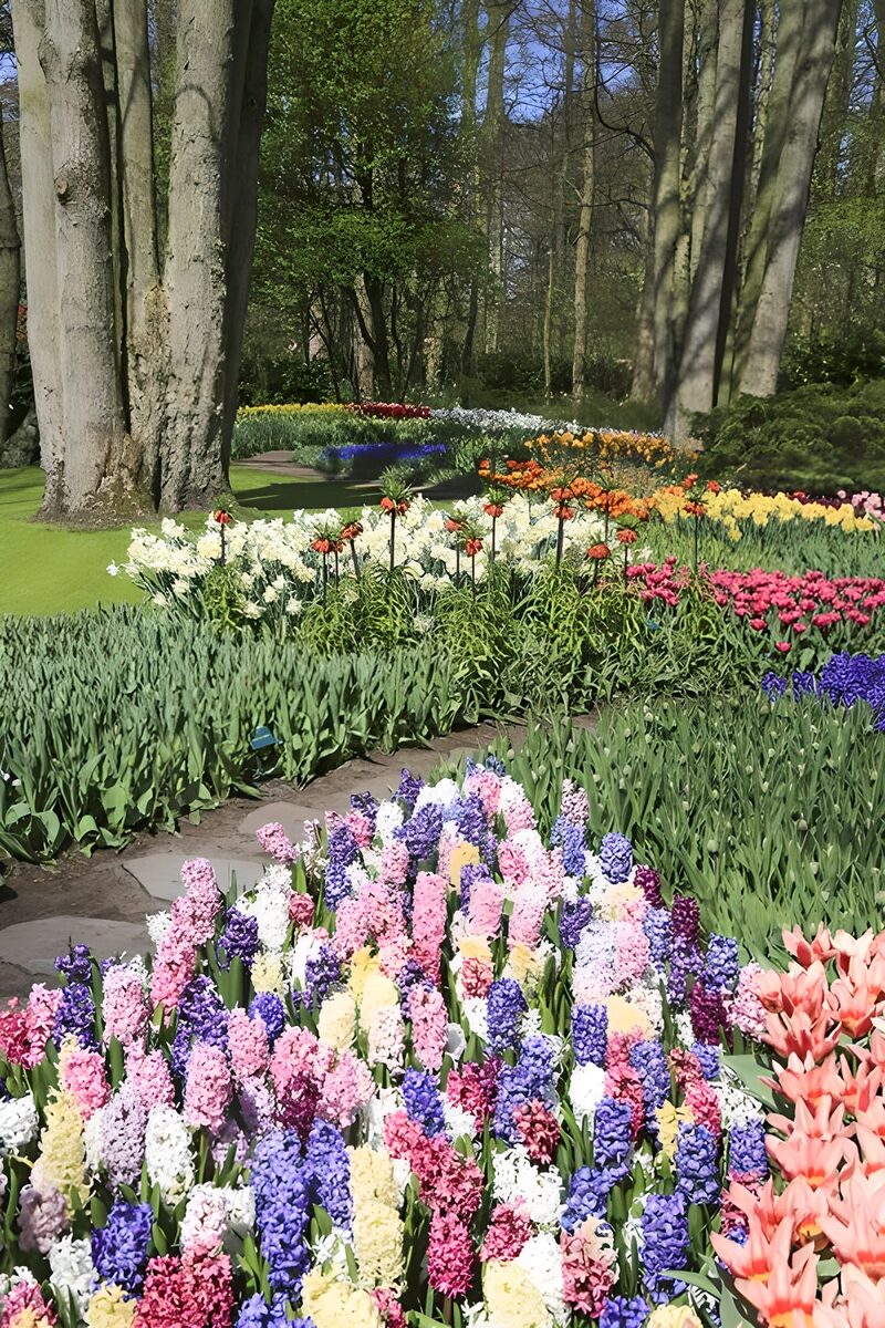 Blumenpracht im Frühling