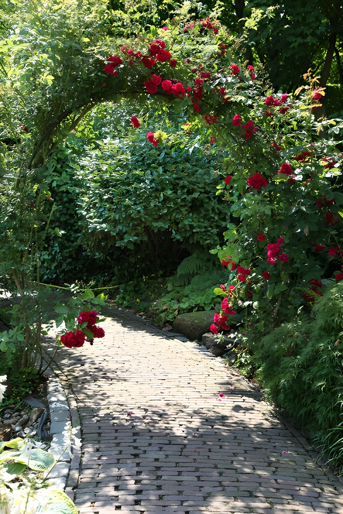 Rosenbogen im Garten