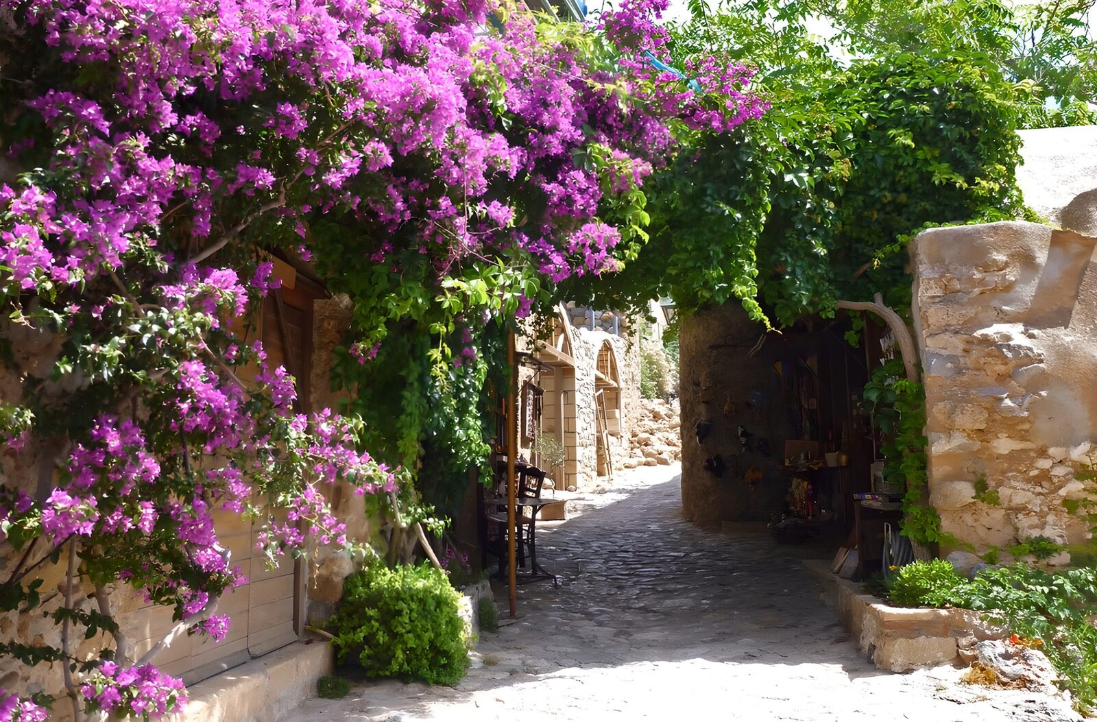 Malerische Gasse mit Bougainvillea