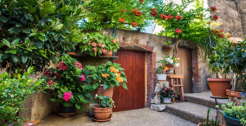 Blumenpracht vor den Haustüren