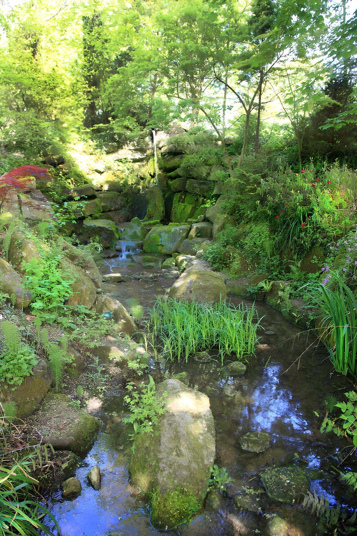 Ruhiger Bachlauf in der Natur