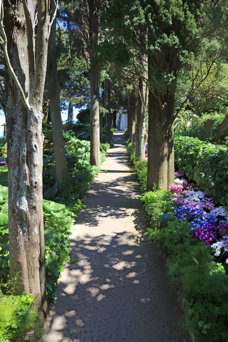 Blühender Gartenweg im Sonnenschein