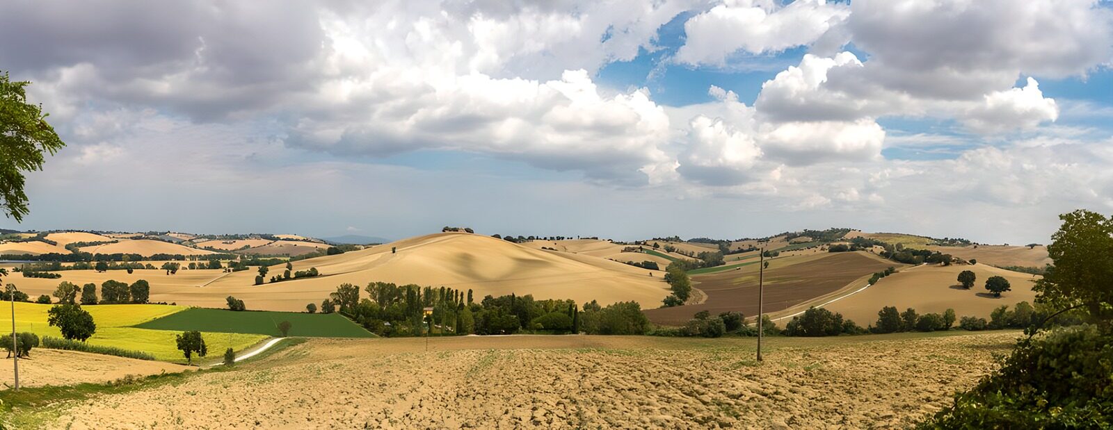Ruhige Hügellandschaft im Sommer