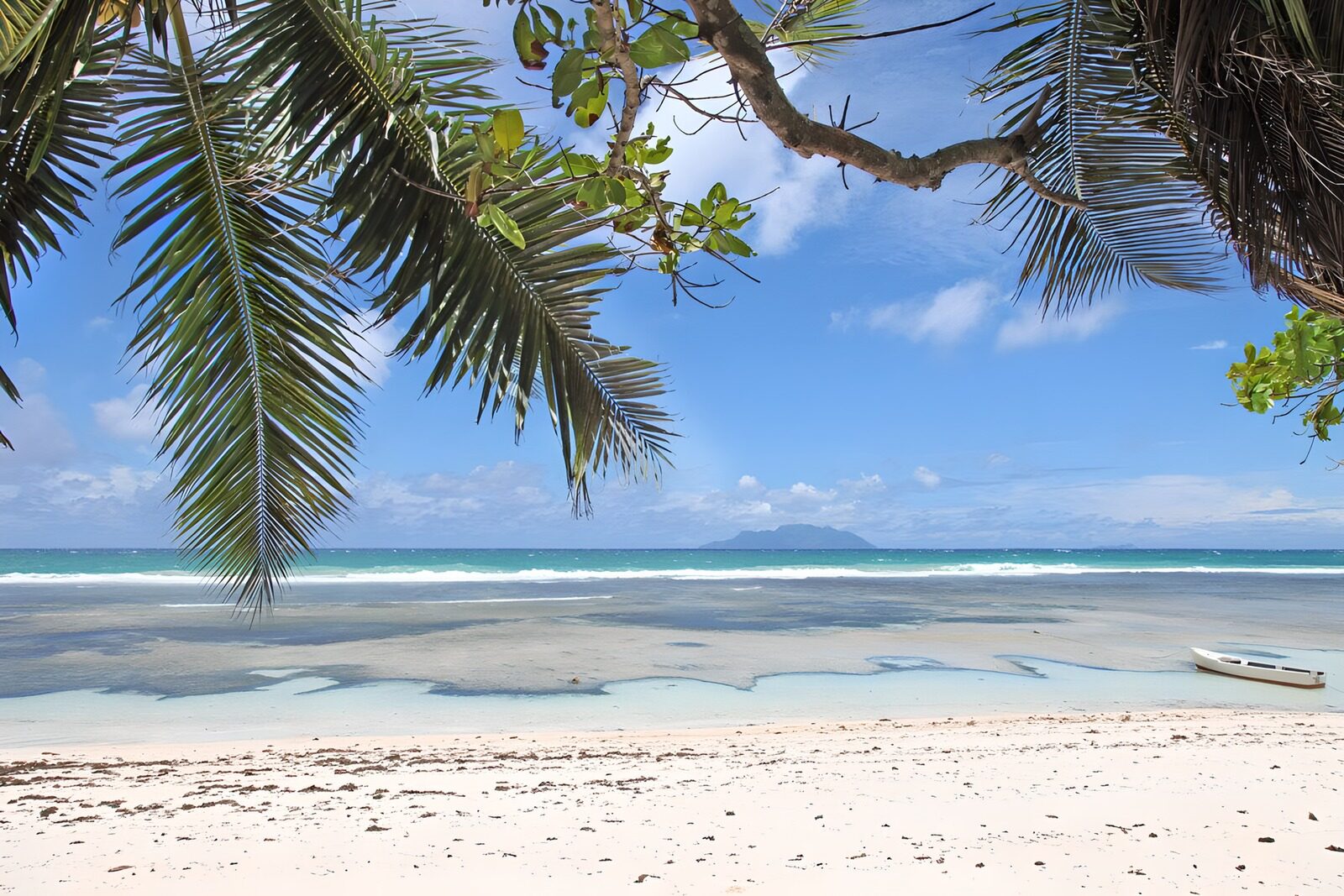 Traumstrand mit Palmen und klarem Wasser