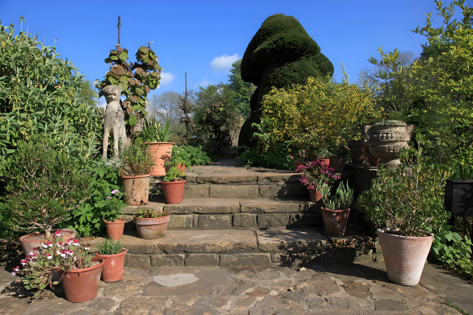 Garten mit Topfpflanzen und Skulpturen