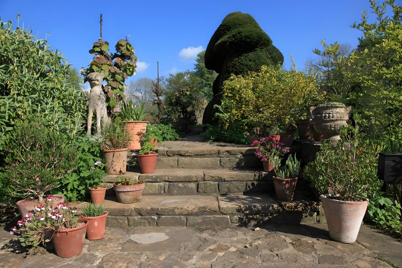 Garten mit Topfpflanzen und Skulpturen