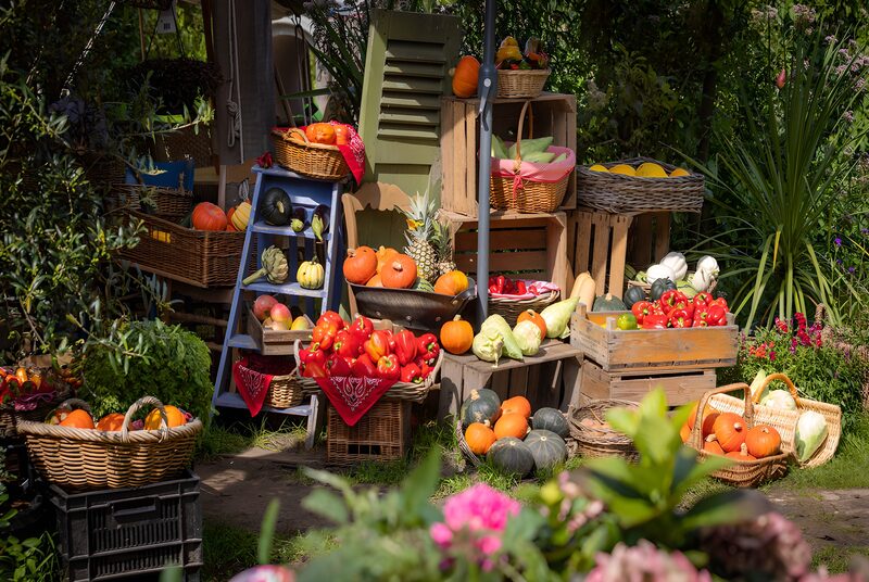 Bunte Ernteauslage im Garten
