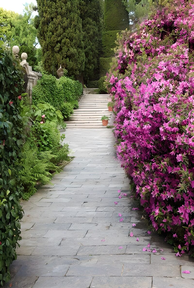 Blühender Weg durch den Garten