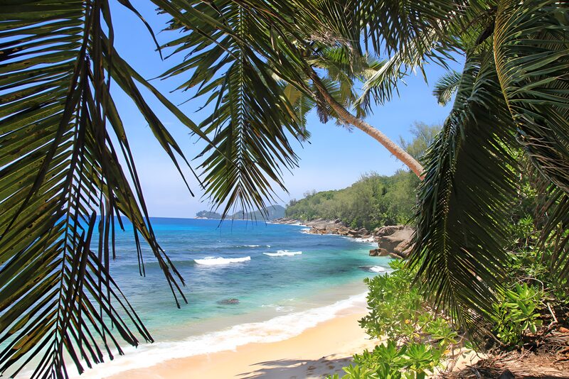 Tropisches Paradies am Strand