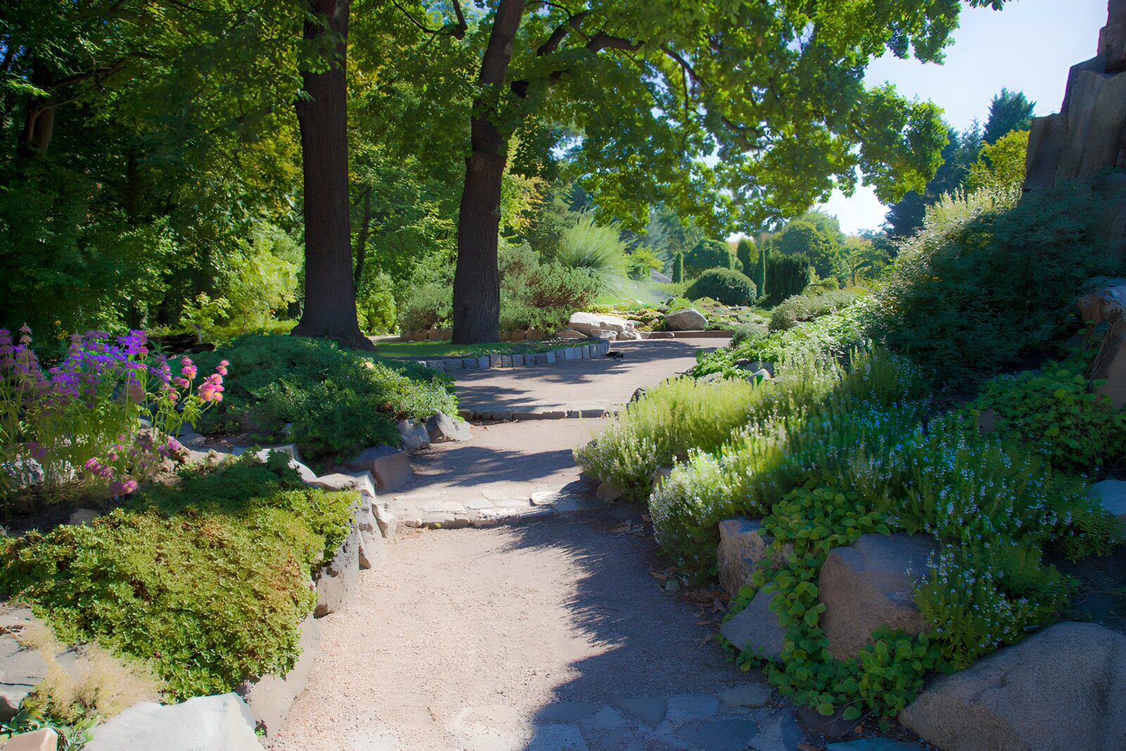 Wunderschöner Gartenweg im Sommer