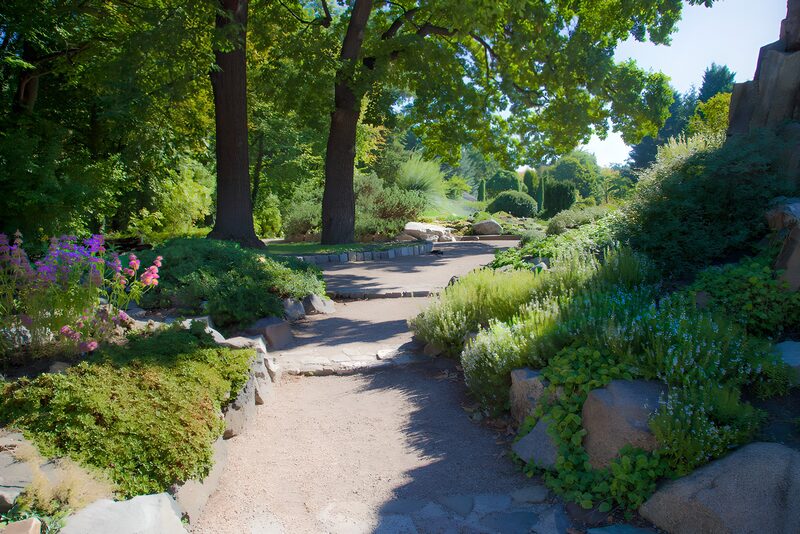 Wunderschöner Gartenweg im Sommer