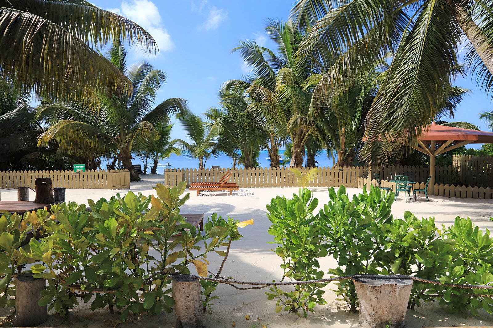 Tropisches Paradies am Meer