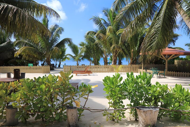 Tropisches Paradies am Meer