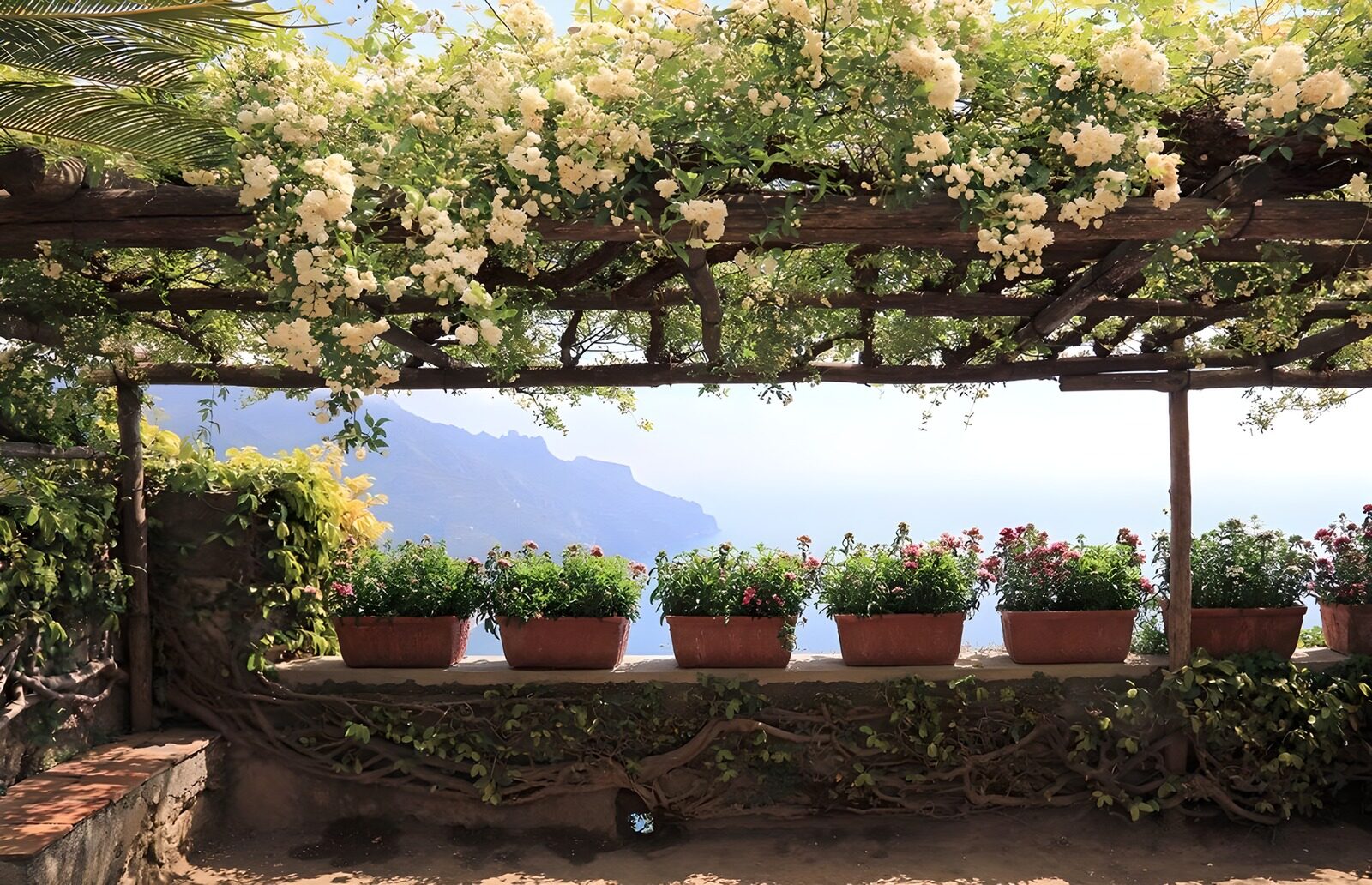 Blühender Garten mit Meerblick