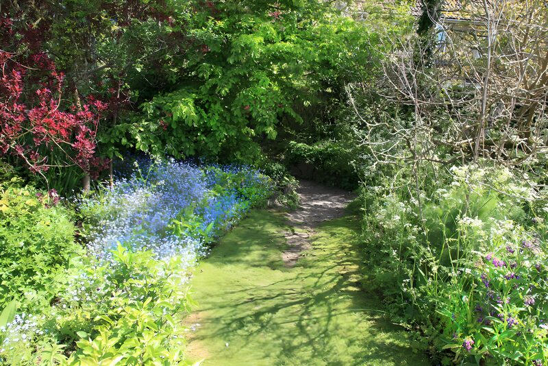 Blühender Gartenweg im Frühling