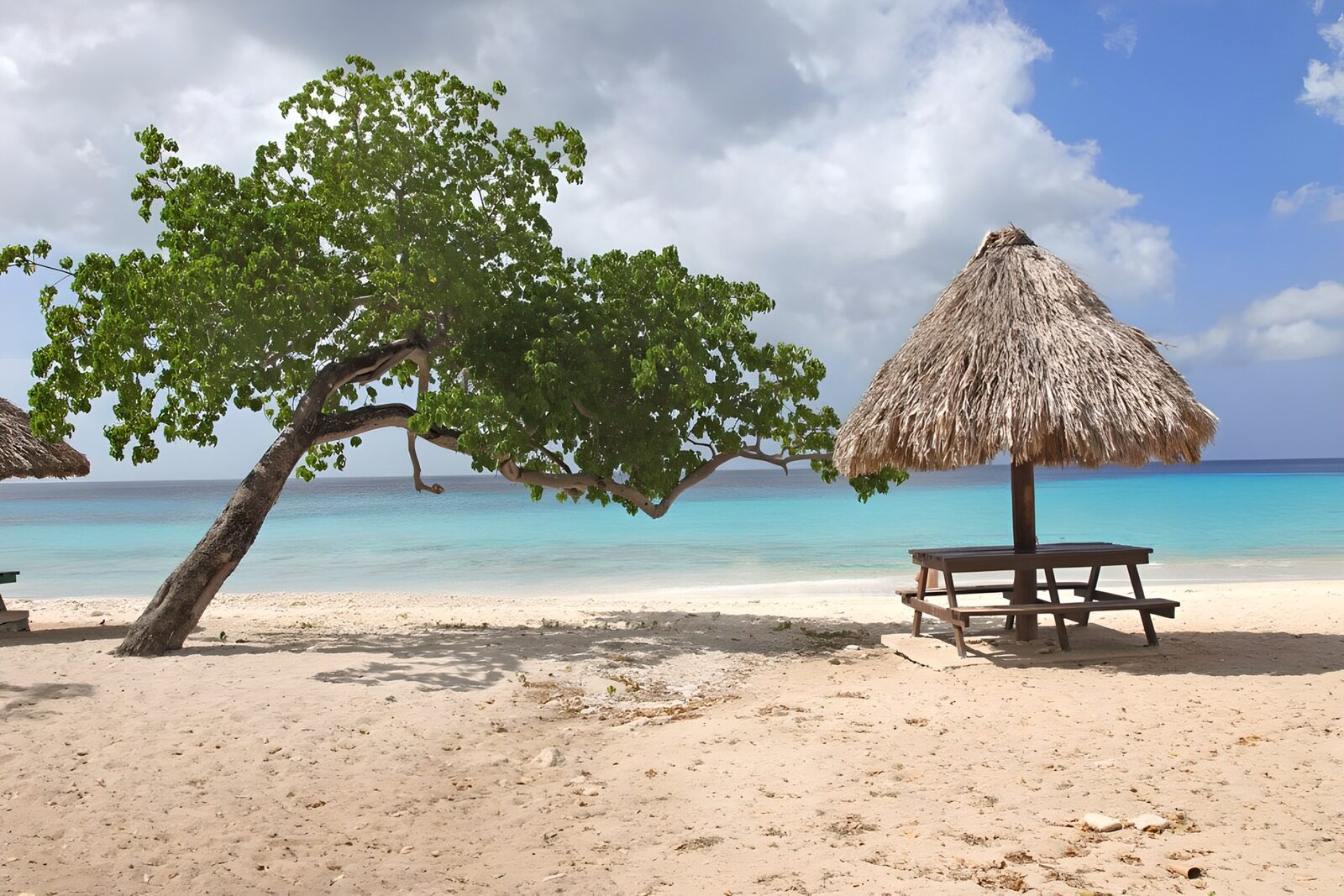 Traumstrand mit Palmen und Häuschen