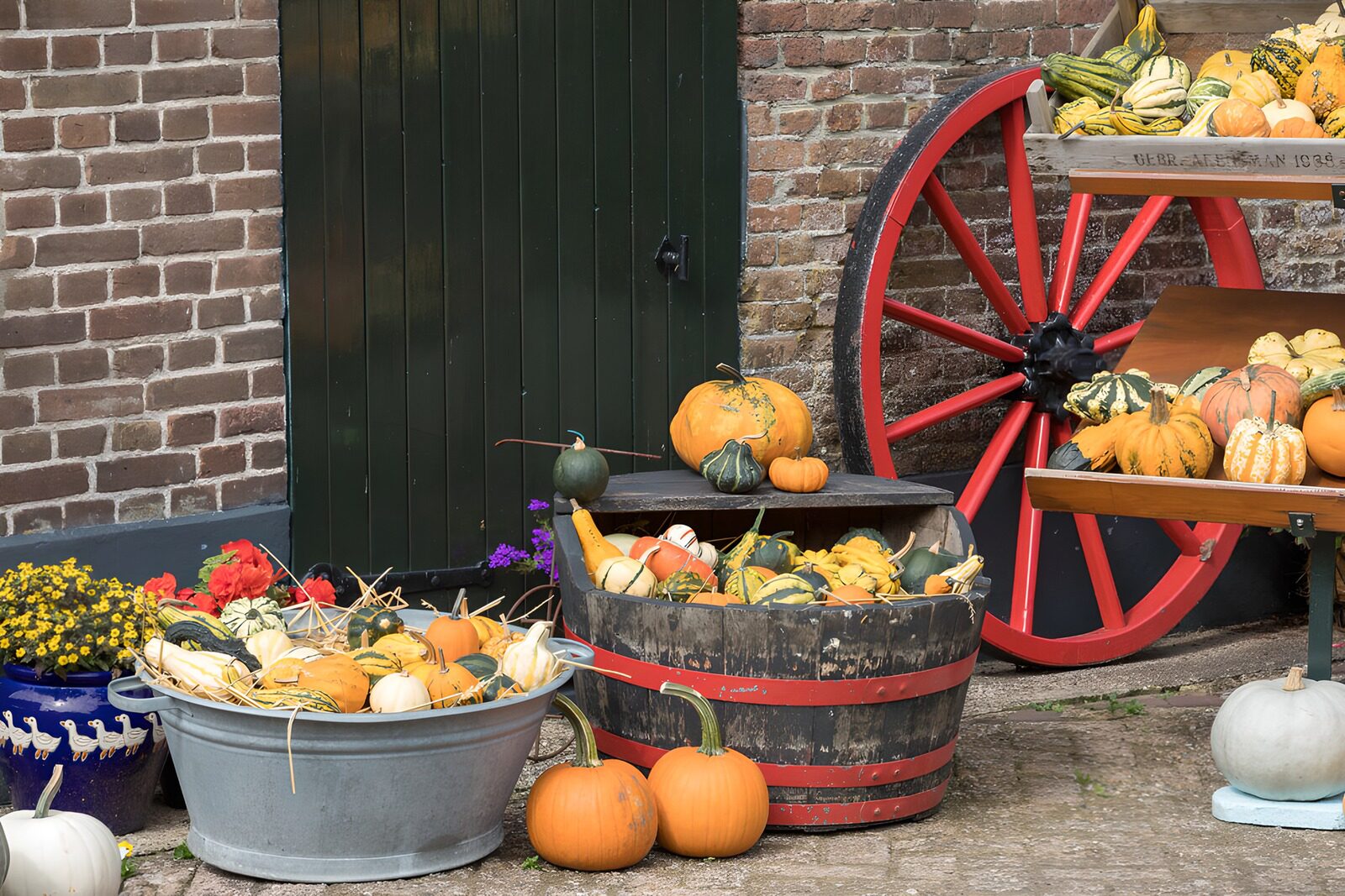 Herbstliche Kürbisvielfalt am Hof