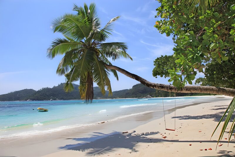 Palmenstrand mit Hängematte