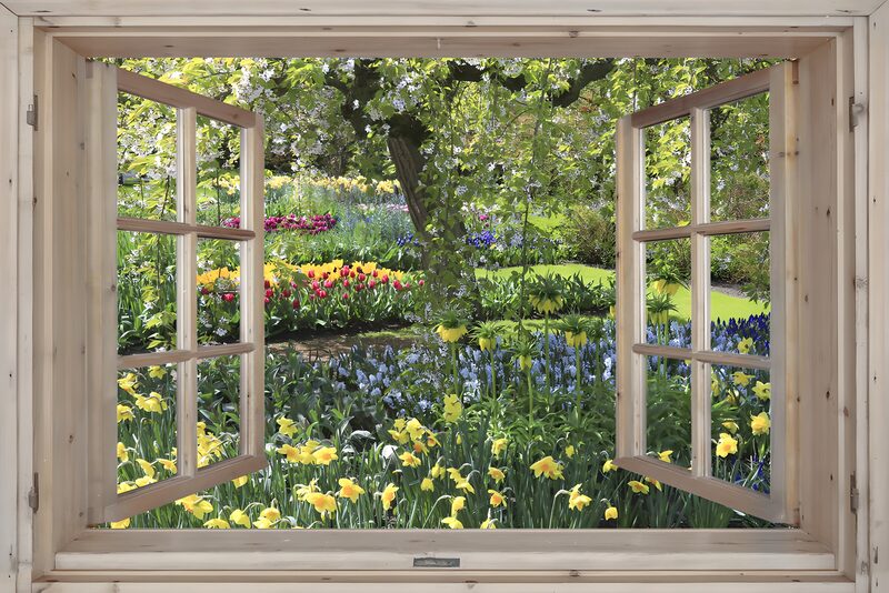 Blumenpracht durch das Fenster