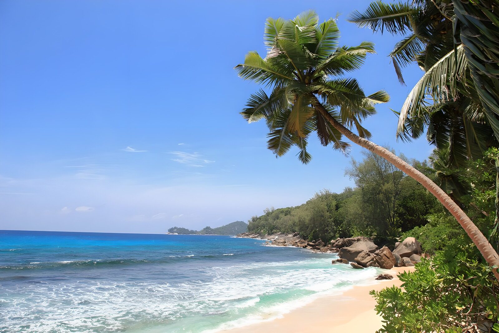 Tropischer Strand mit Palmen