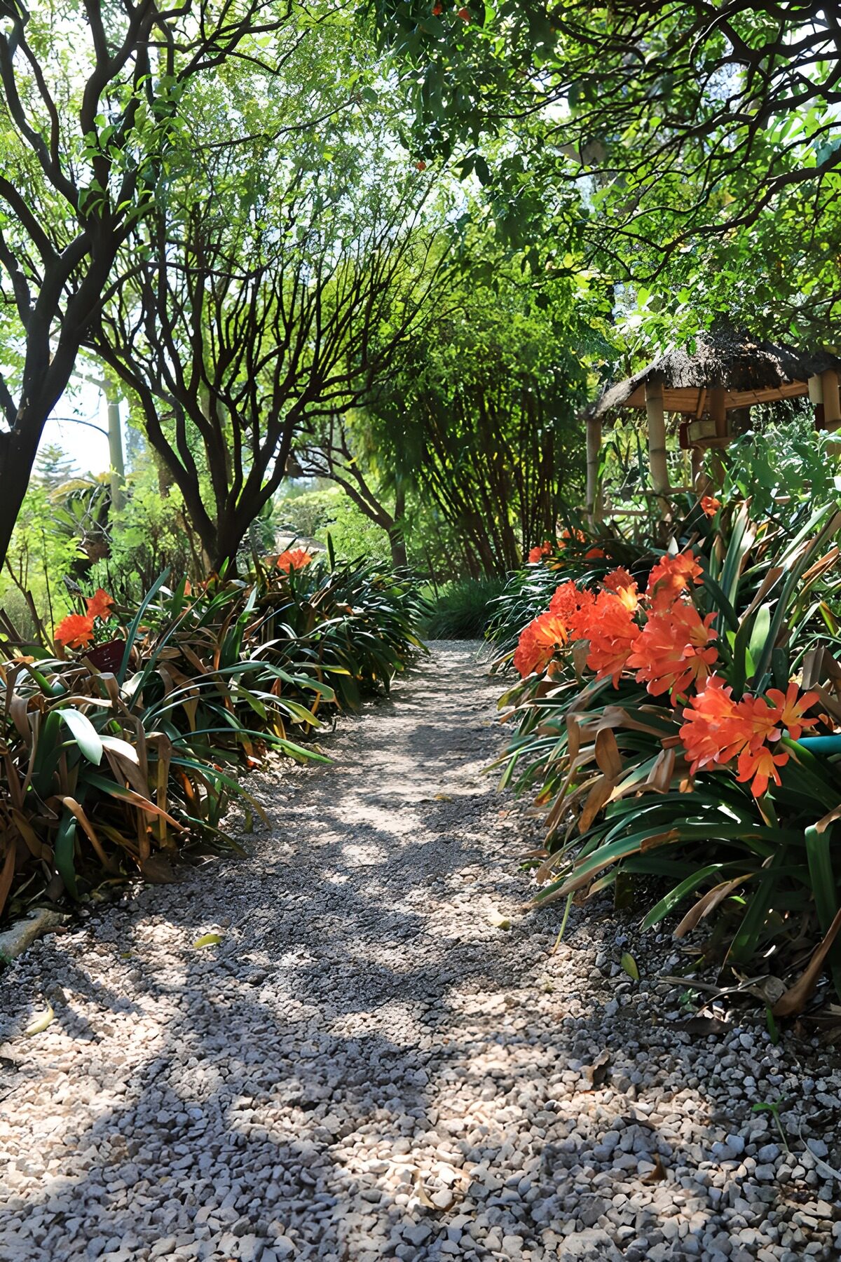 Blütenweg im sonnigen Garten
