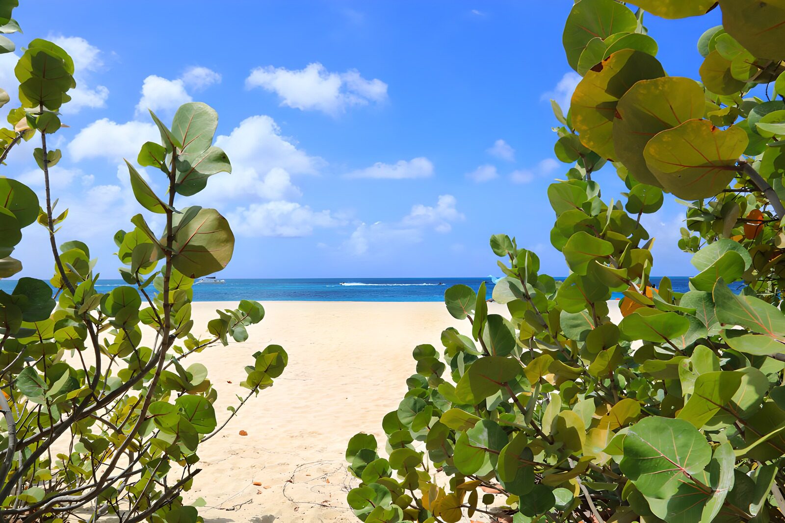 Blick auf den karibischen Strand