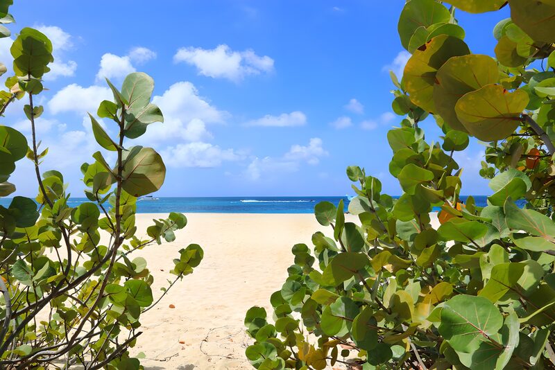 Blick auf den karibischen Strand