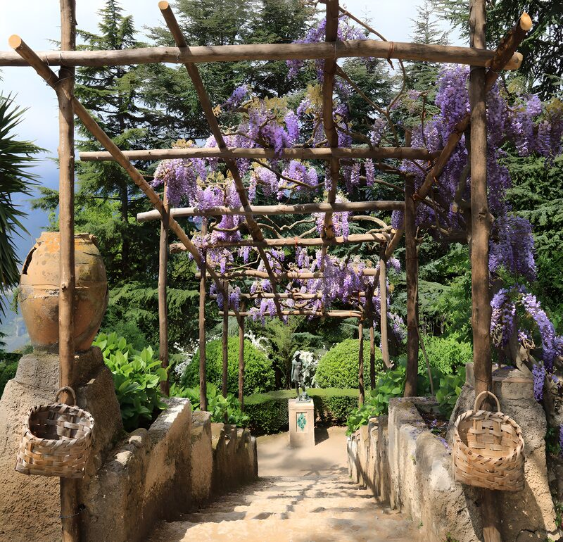 Wisteria-Pfad im Garten