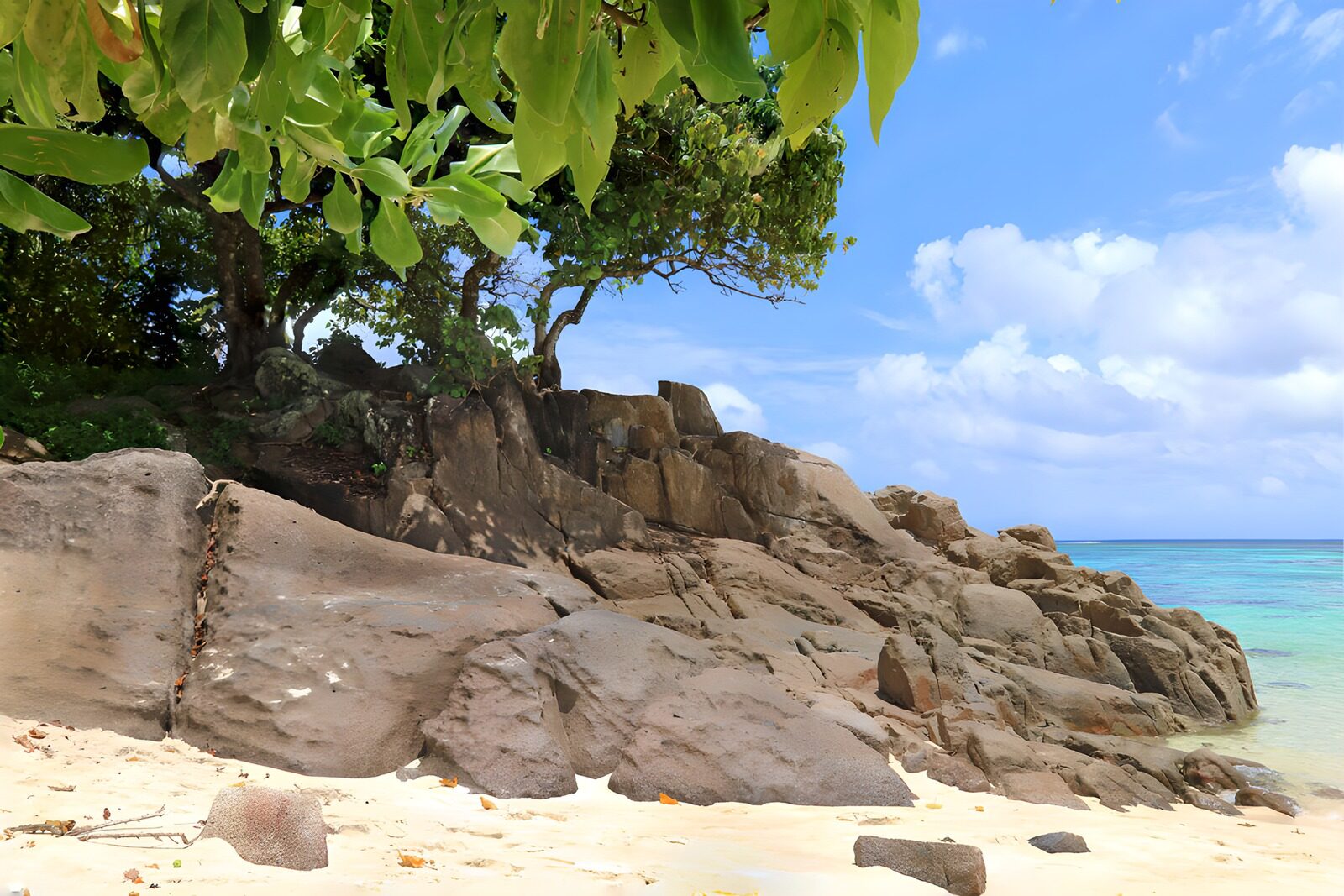 Felsen am Strand unter grünem Himmel