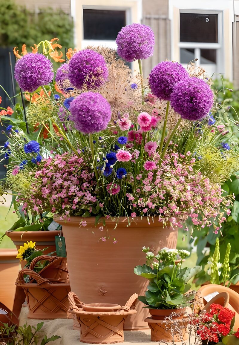 Bunte Blütenpracht im Blumentopf