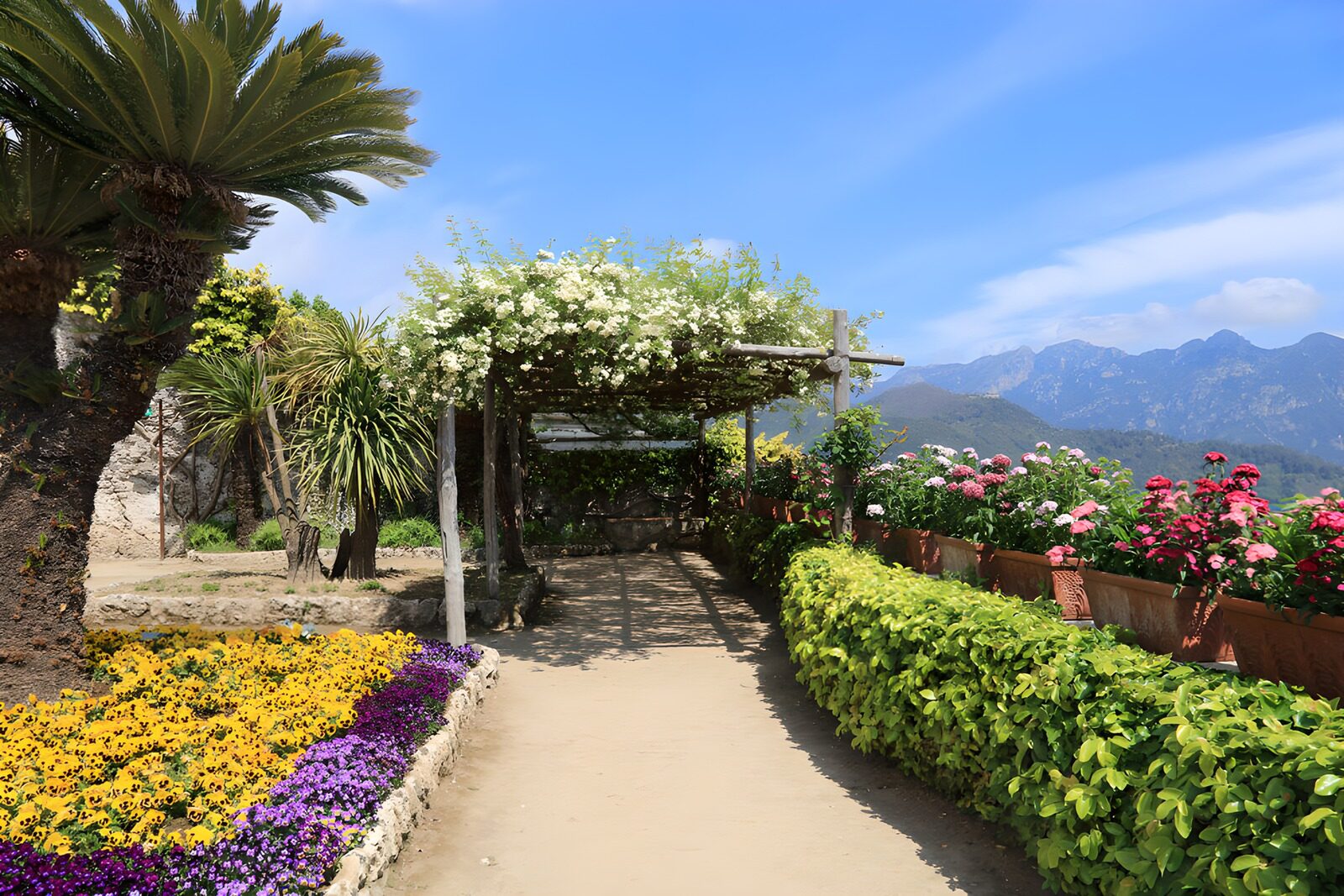 Blütenpracht im Garten mit Bergblick