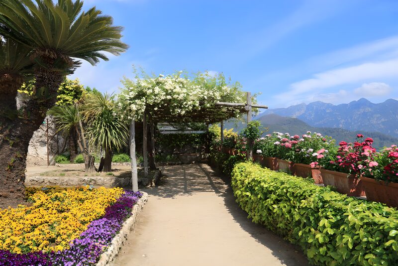 Blütenpracht im Garten mit Bergblick