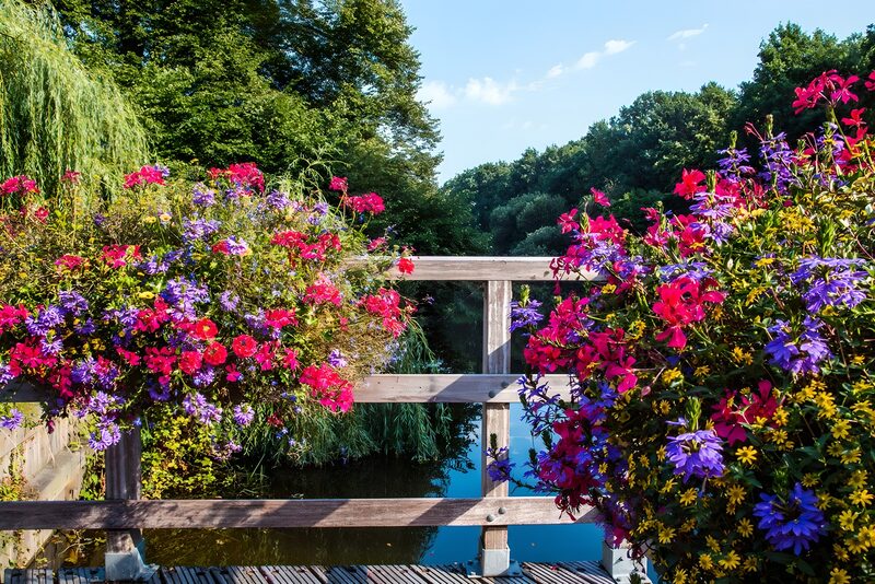 Blühende Brücke über ruhiges Wasser