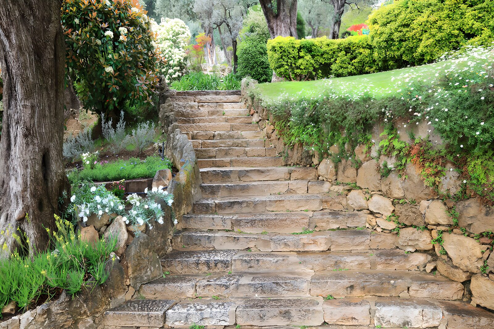 Steingarten und Treppe im Frühling