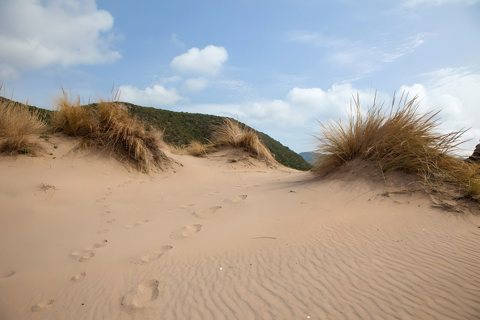 Sanddünen mit Fußspuren in der Natur