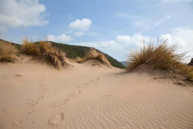 Sanddünen mit Fußspuren in der Natur