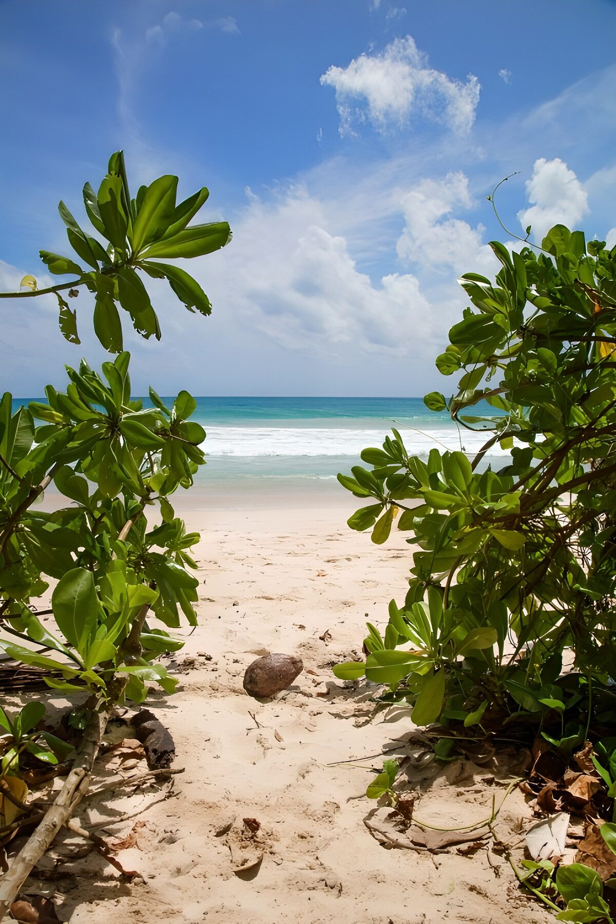 Blick auf den paradiesischen Strand