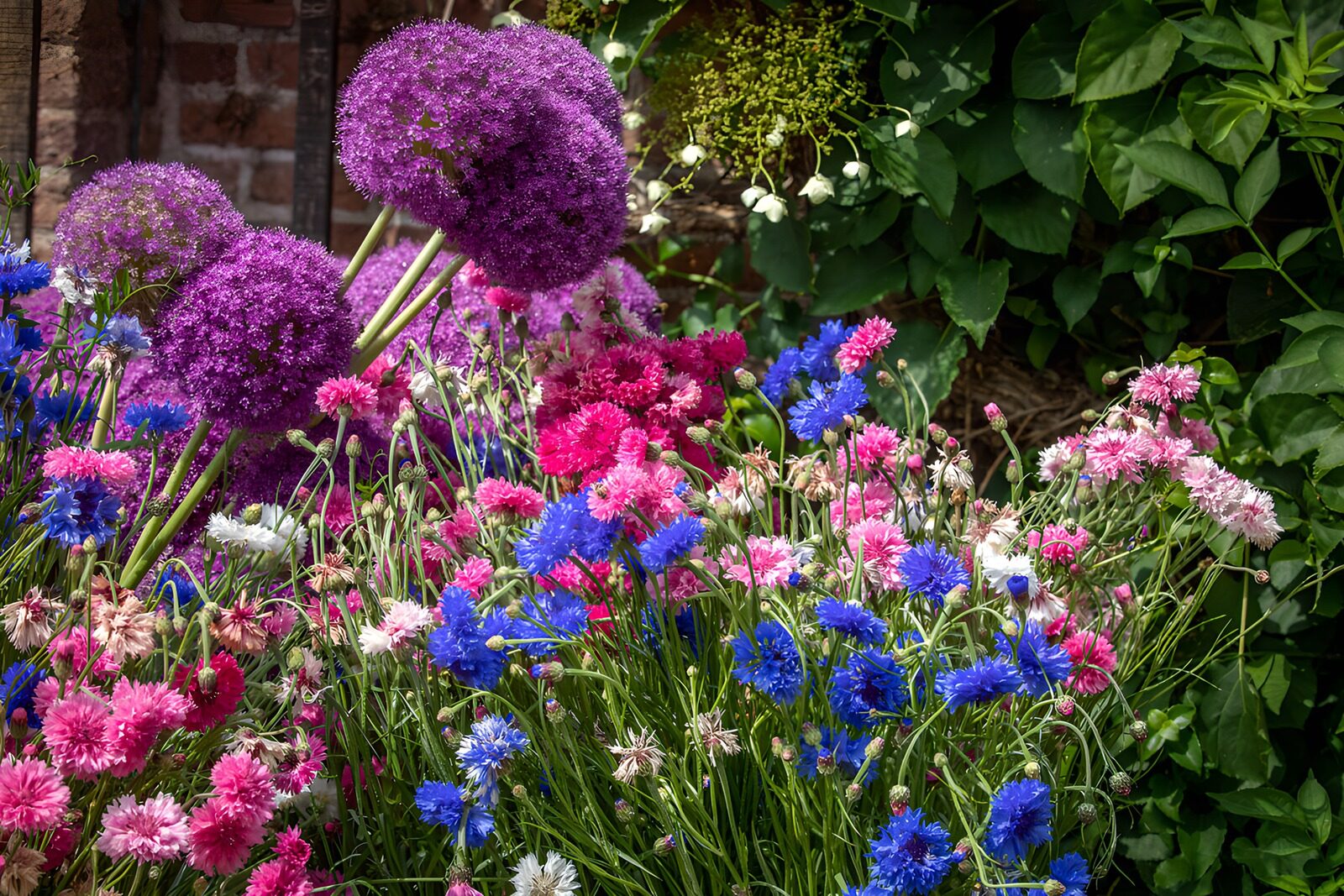 Farbenfrohe Blumenvielfalt im Garten