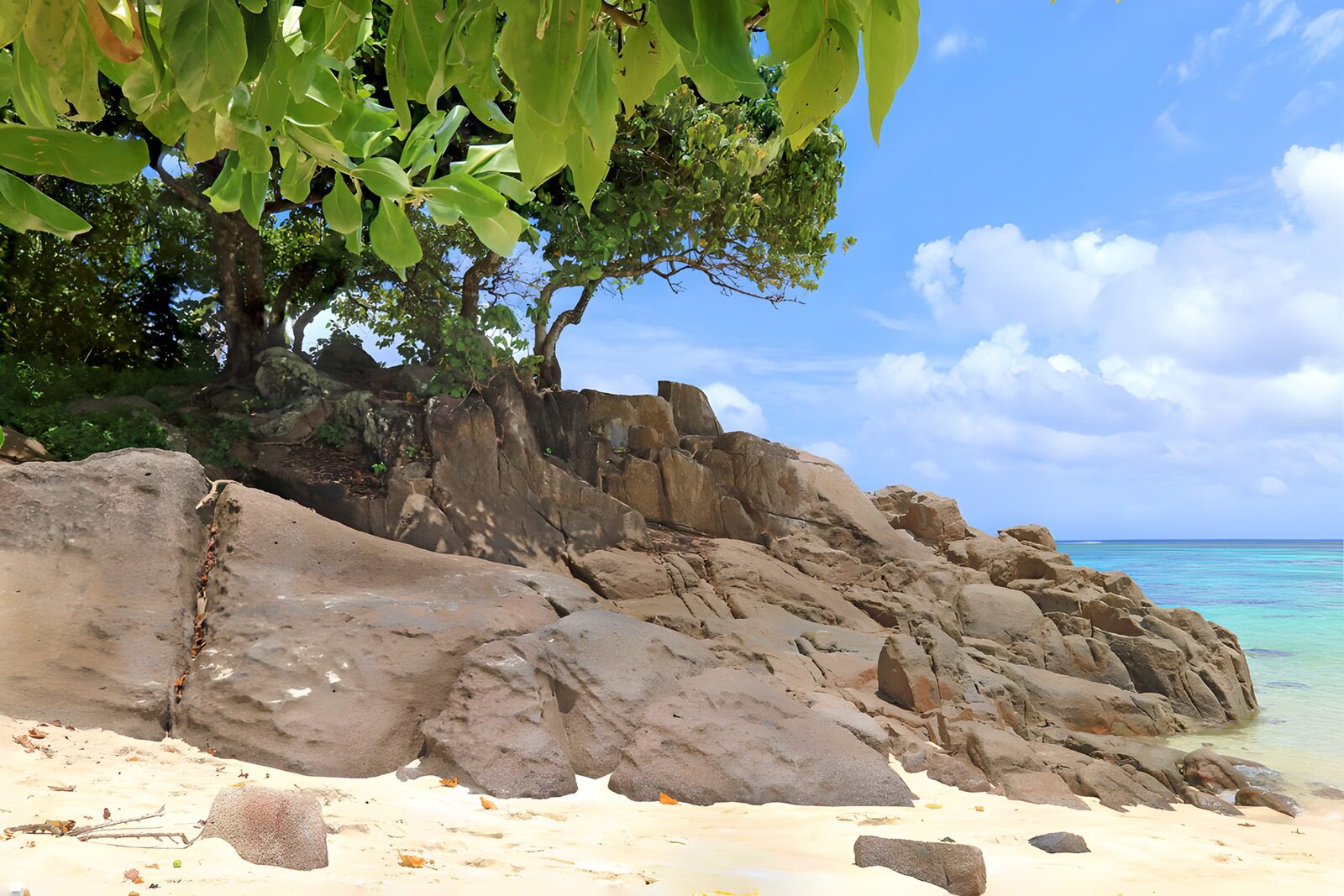 Felsen am Strand unter blauem Himmel