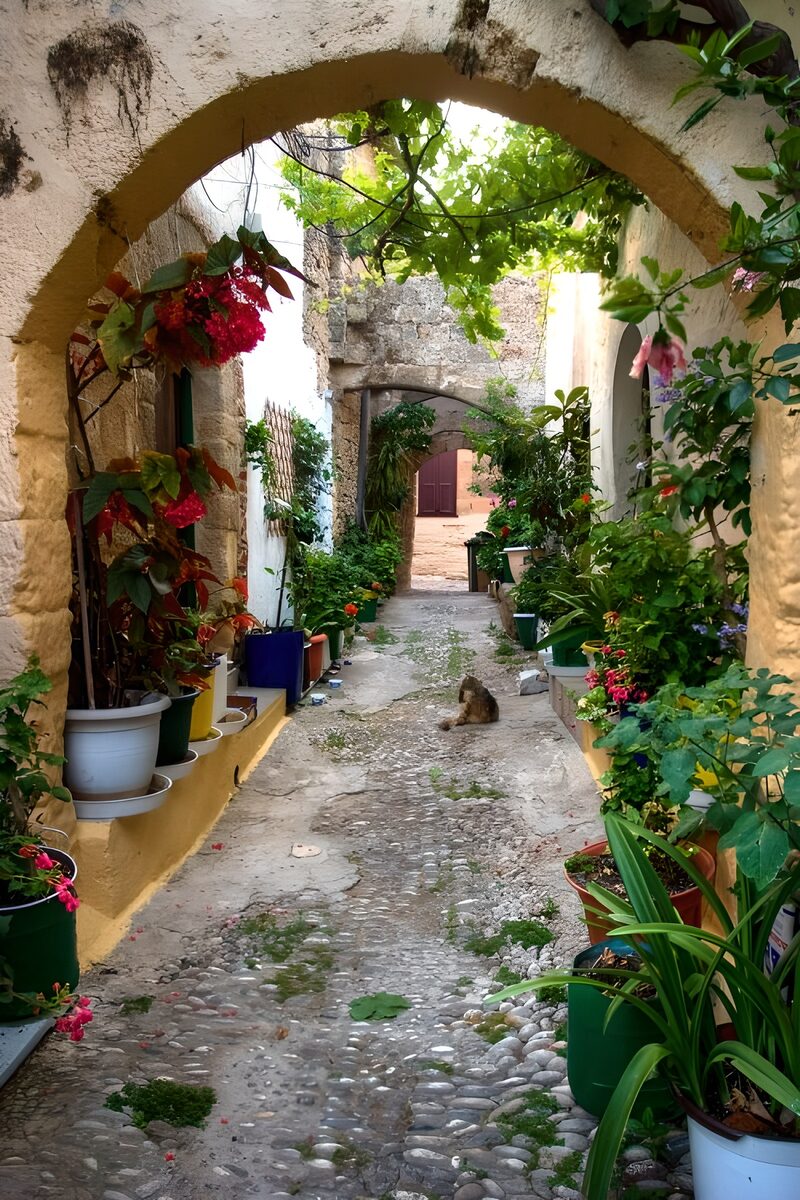 : Malerischer Gartenweg mit Katze