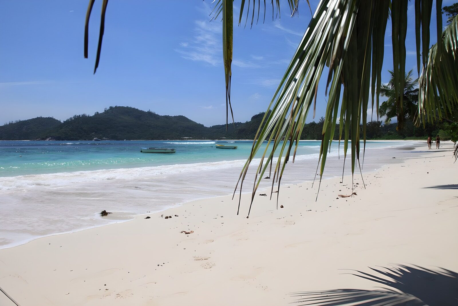 Tropischer Strand mit klarem Wasser